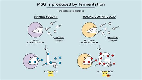 Monosodium glutamate (MSG): What it is, and why。